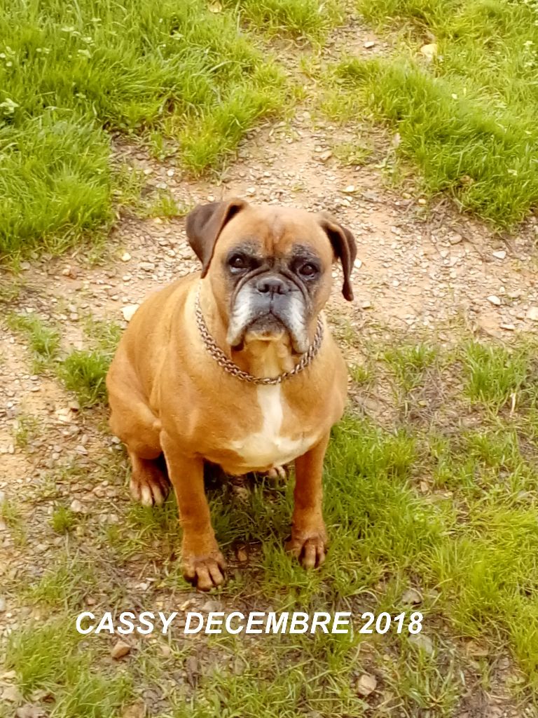 Cassy De la felloniere