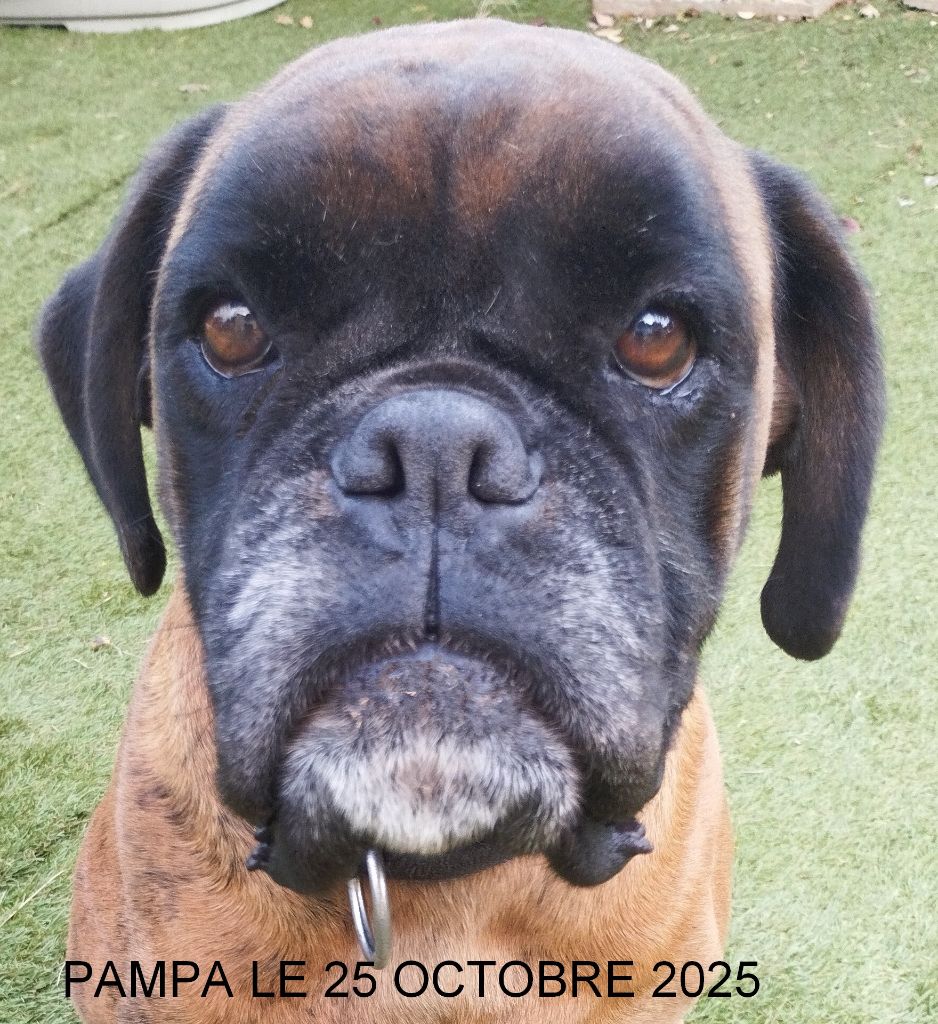 Pampa Du Chemin De La Sainte Victoire