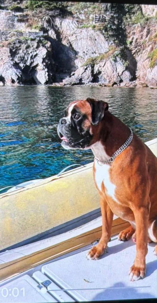 Du Chemin De La Sainte Victoire - PAMPA - RIO DU CLOS DE L'ESCALADIEU