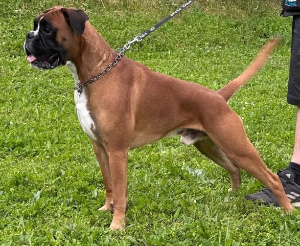 Du Chemin De La Sainte Victoire - BEBES A VENIR