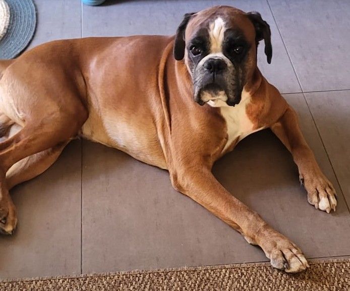 Du Chemin De La Sainte Victoire - PAMPA - RIO DU CLOS DE L'ESCALADIEU